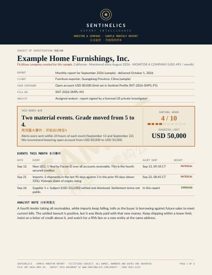 Monitor a Company sample monthly report, page 1